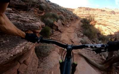 Mountain Biking Stronger at 53 Than I Was at 43, Wanted to Share How