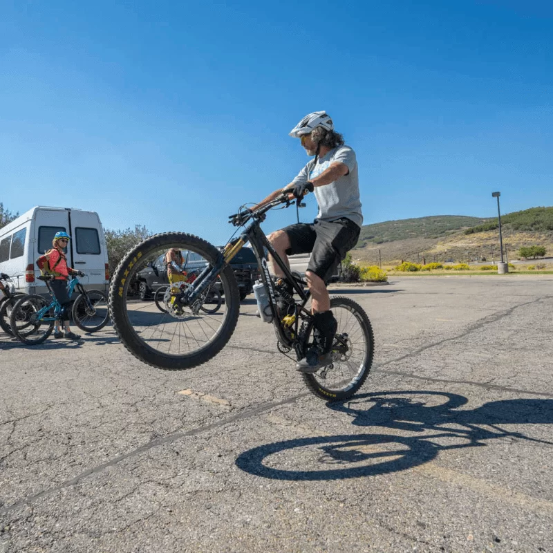 Gene wheelie